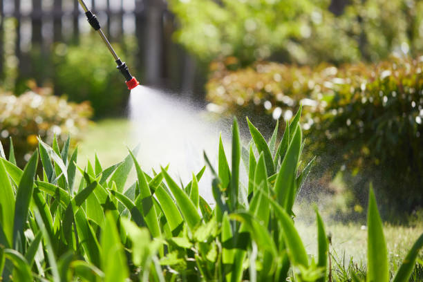 24/7 Emergency Ant Control experts in Maryville, IL