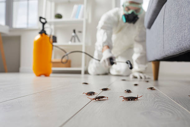 Trusted Fumigation Services service in Maryville, IL - Nex Pest Control