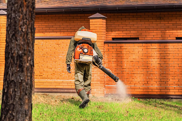 Trusted Termite Control service in Maryville, IL - Nex Pest Control